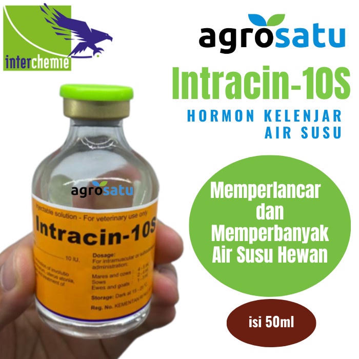 Intracin 10s 50 ml Injeksi Obat Hormon Oxytocin Memperlancar Air Susu ASI Induk dan Penambah Kontrak