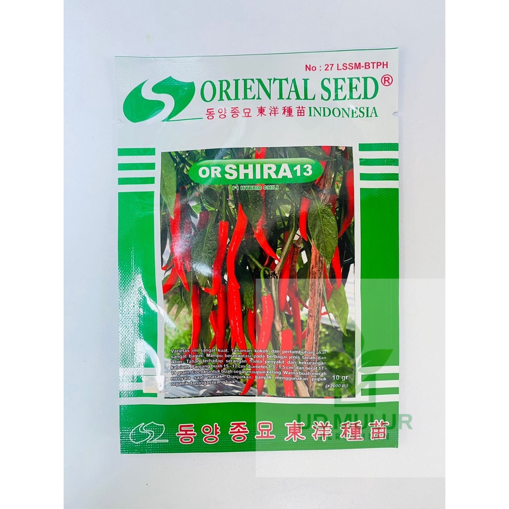 Benih cabai merah besar f1 or SHIRA 13 isi 10gr dari ORIENTAL SEED