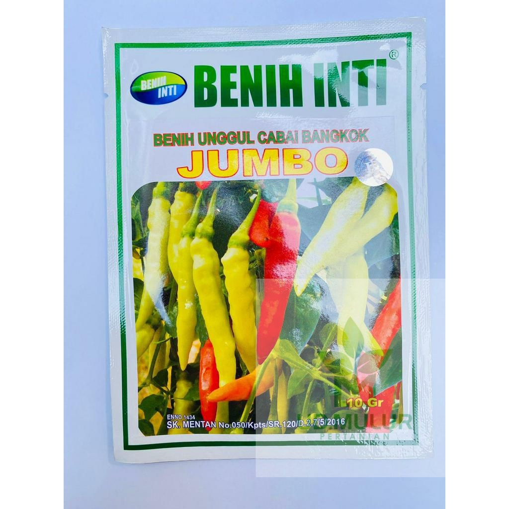 Benih cabai bangkok rawit JUMBO  isi 10gr dari PT DINASTY INTI AGRO SARANA