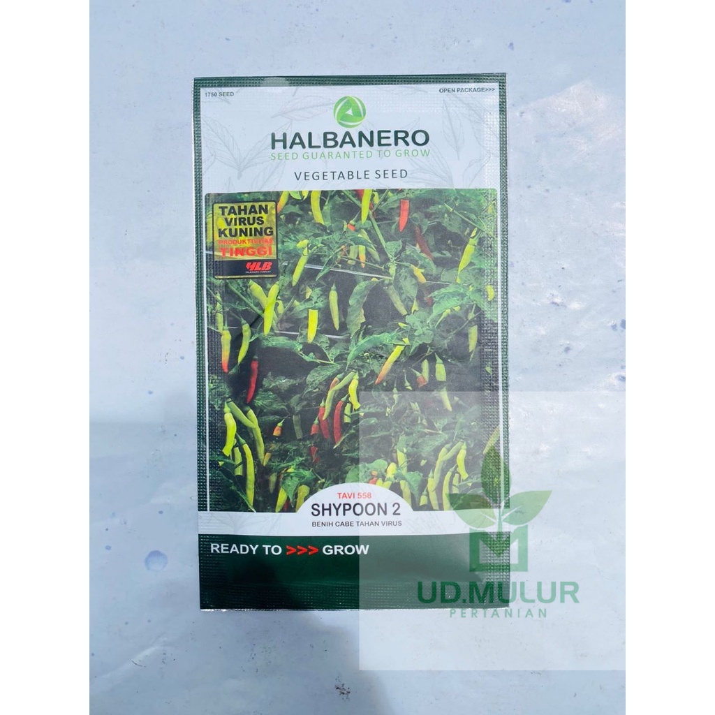 Benih Cabe Cabai Rawit SHYPOON isi 10gr dari Halbanero