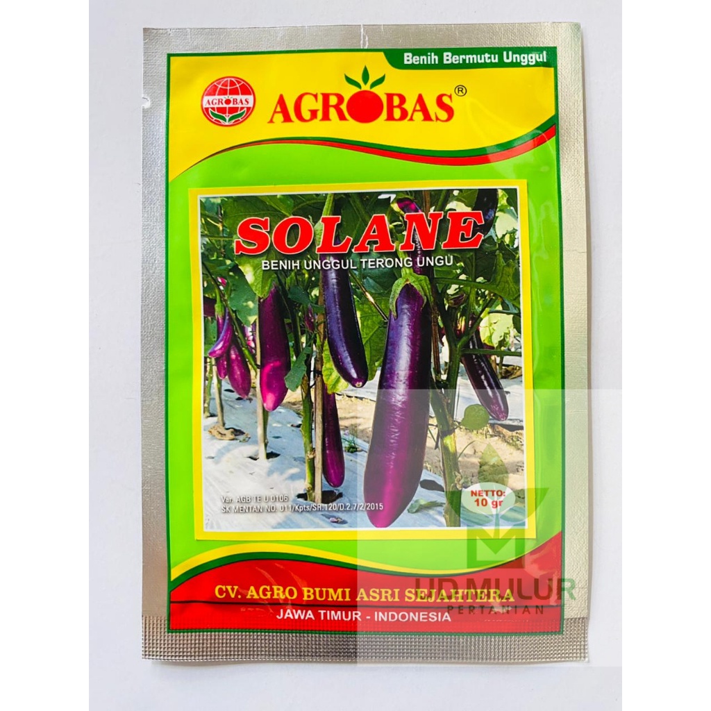 Benih Unggul Terong Ungu SOLANE 10gr