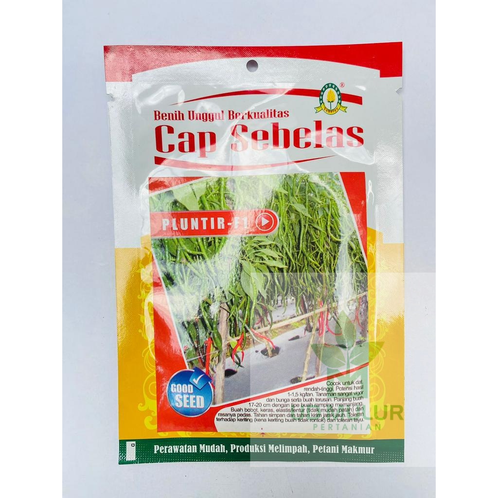 benih cabe keriting PLUNTIR F1 isi 10g dari cap sebelas