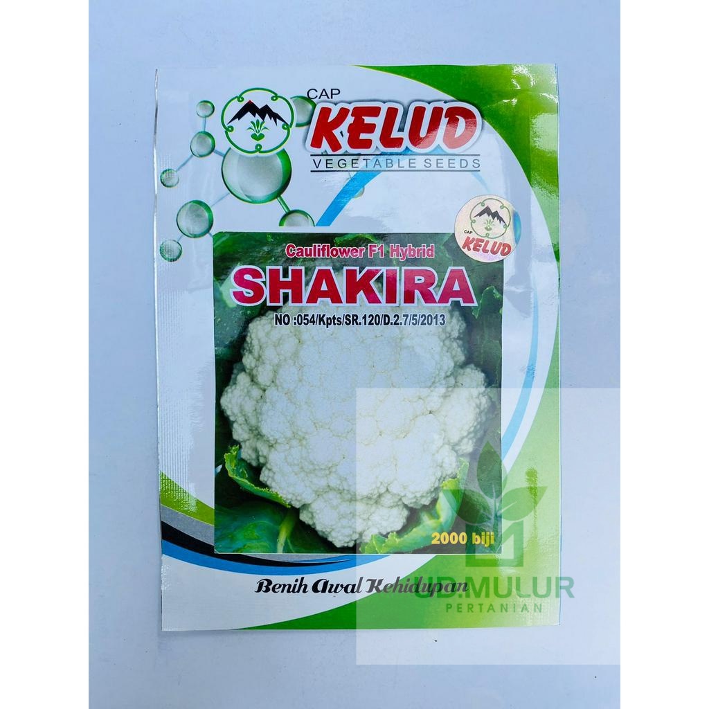 Benih bunga kol SHAKIRA isi 10gr dari cap KELUD