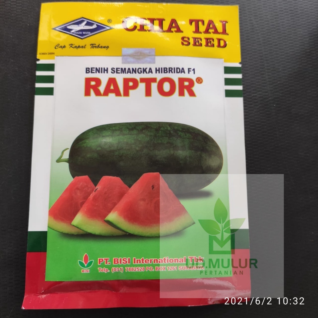Benih Semangka Hibrida F1 RAPTOR isi 20gr dari CAP KAPAL TERBANG