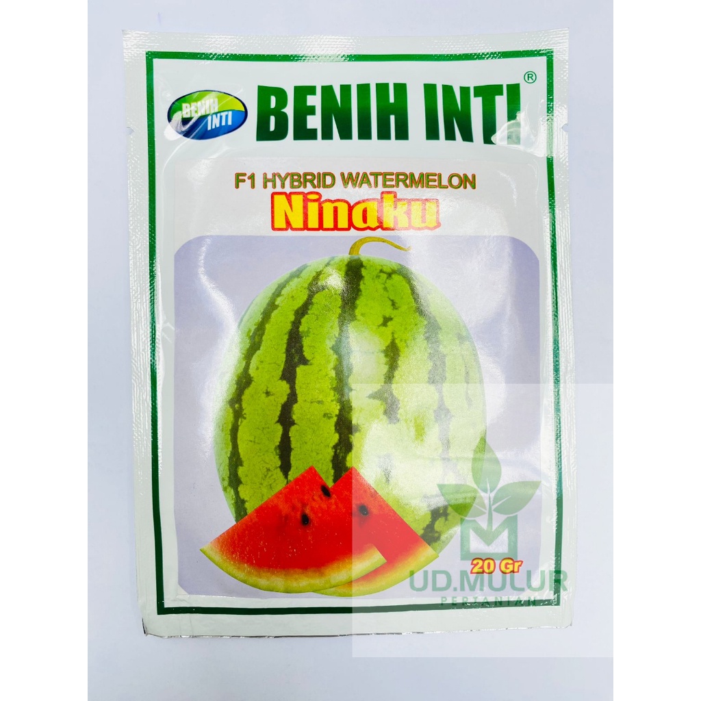 Benih semangka F1 NINAKU isi 20gr dari PT DINASTY INTI AGRO SARANA