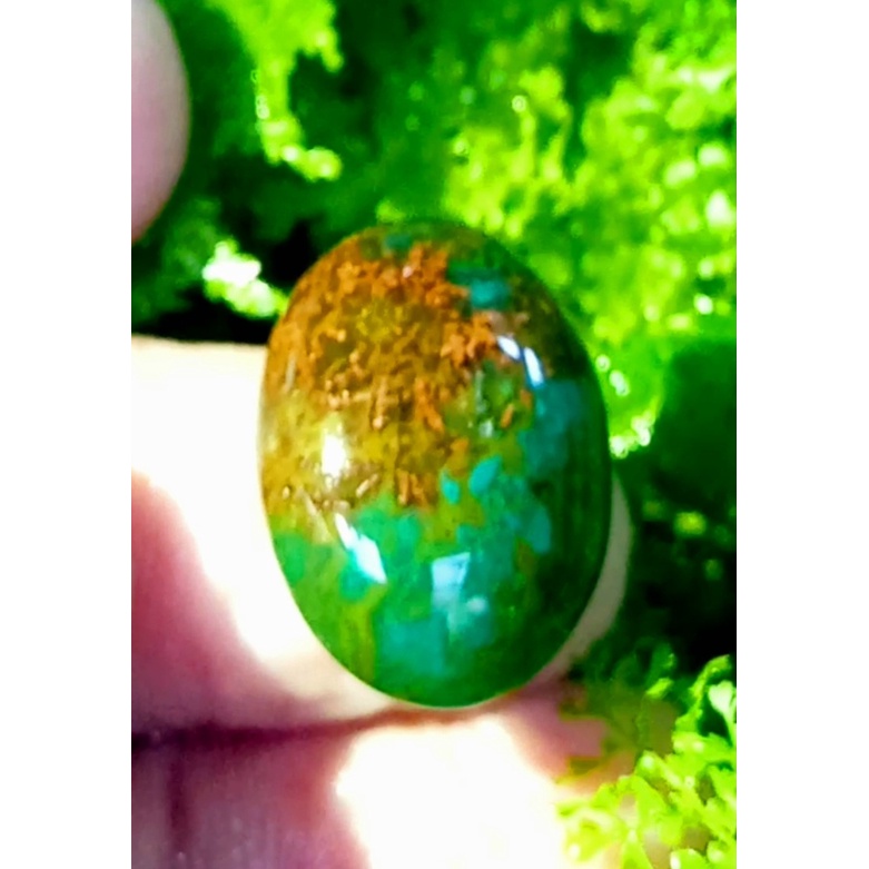 Bacan doko gulau coklat serat tembaga size jumbo