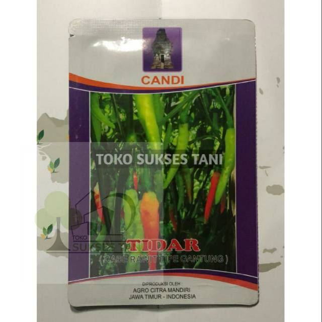 Benih cabe rawit tipe gantung TIDAR dari cap candi. kemasan  10gram