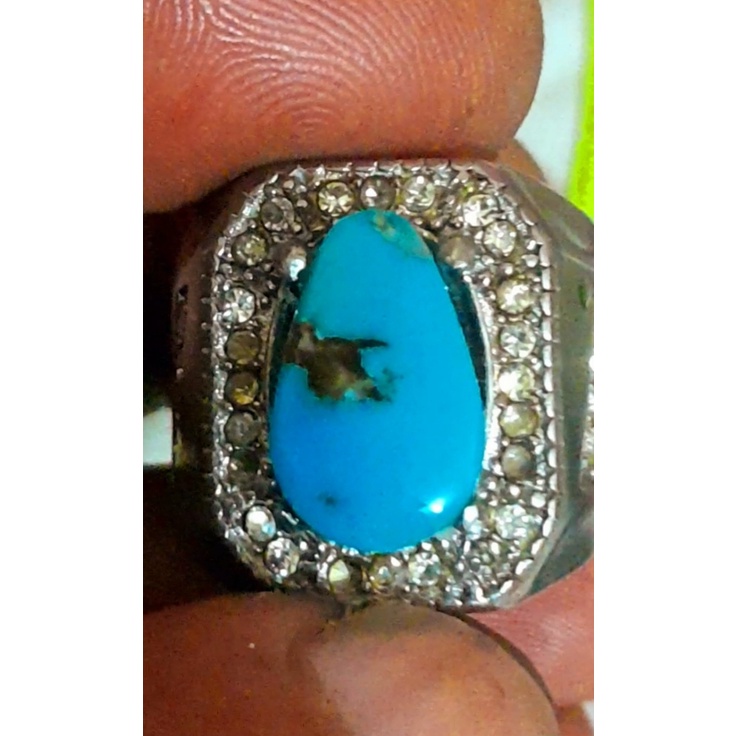 Pirus Persia polosan Abdul Rozaq royal blue