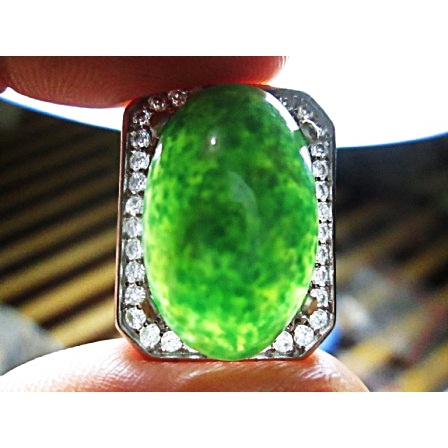 Sungai Dareh Kumbang Jati Totol Gerimis,....Size Jumbo 22,5x14x7 Mm