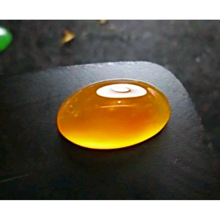 Obi Kuning [Bacan Obi Kuning],... Size Kantoran .