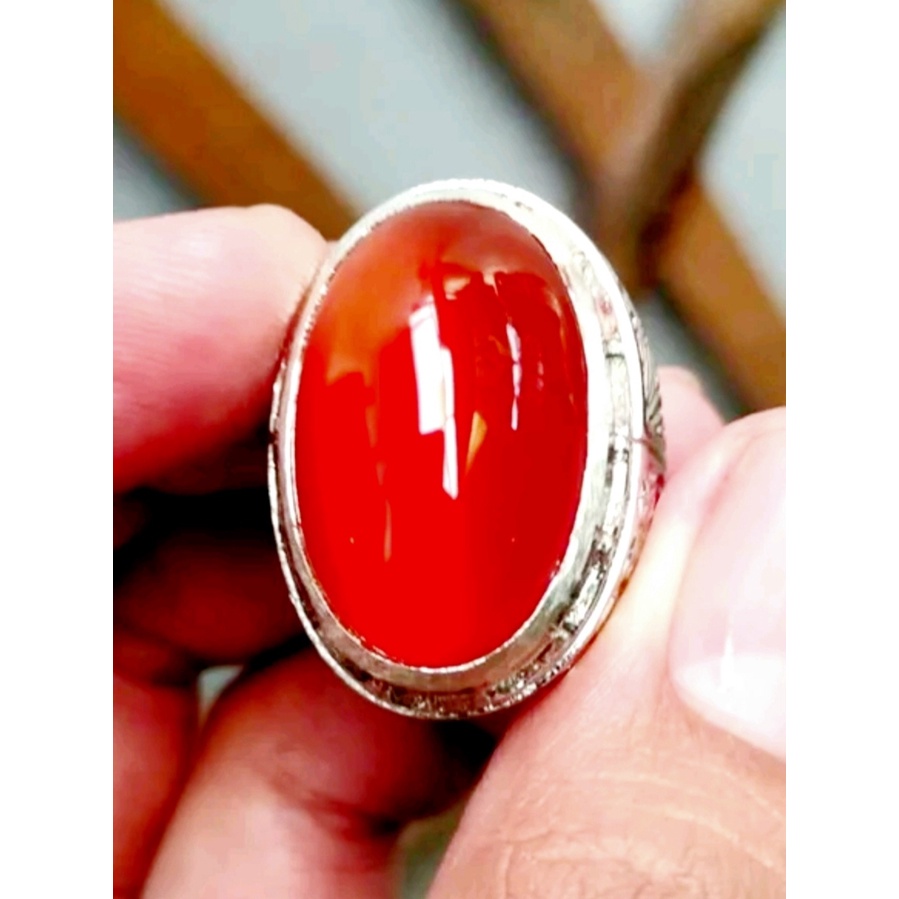 Natural Red Obi bacan obi merah size kantoran jumbo
