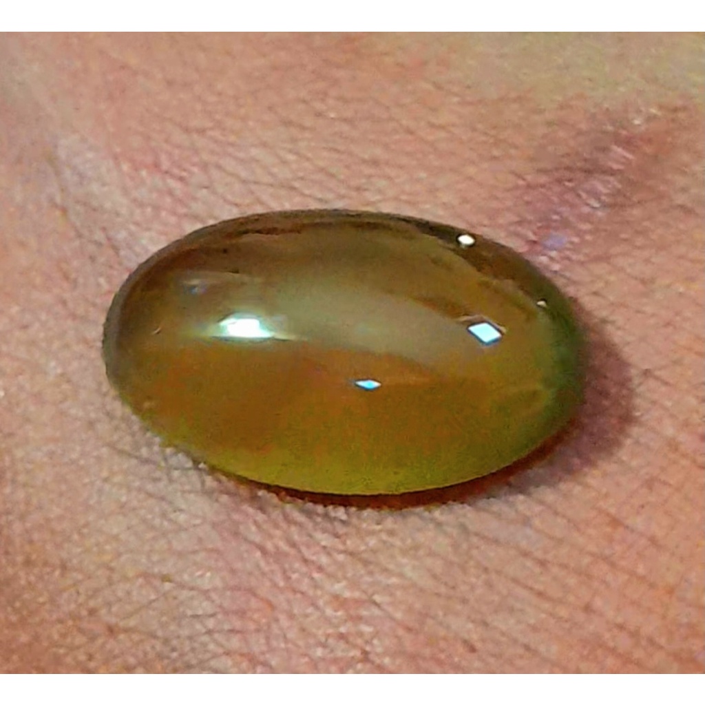 Idocrase Solar Kecoak Aceh Super ,.Size Jumbo