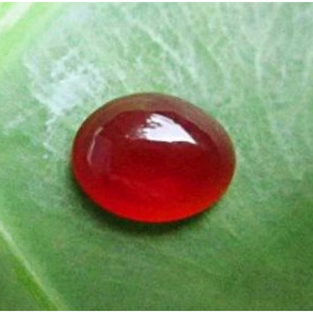 Bacan King Obi Merah size kantoran kristal ngaca