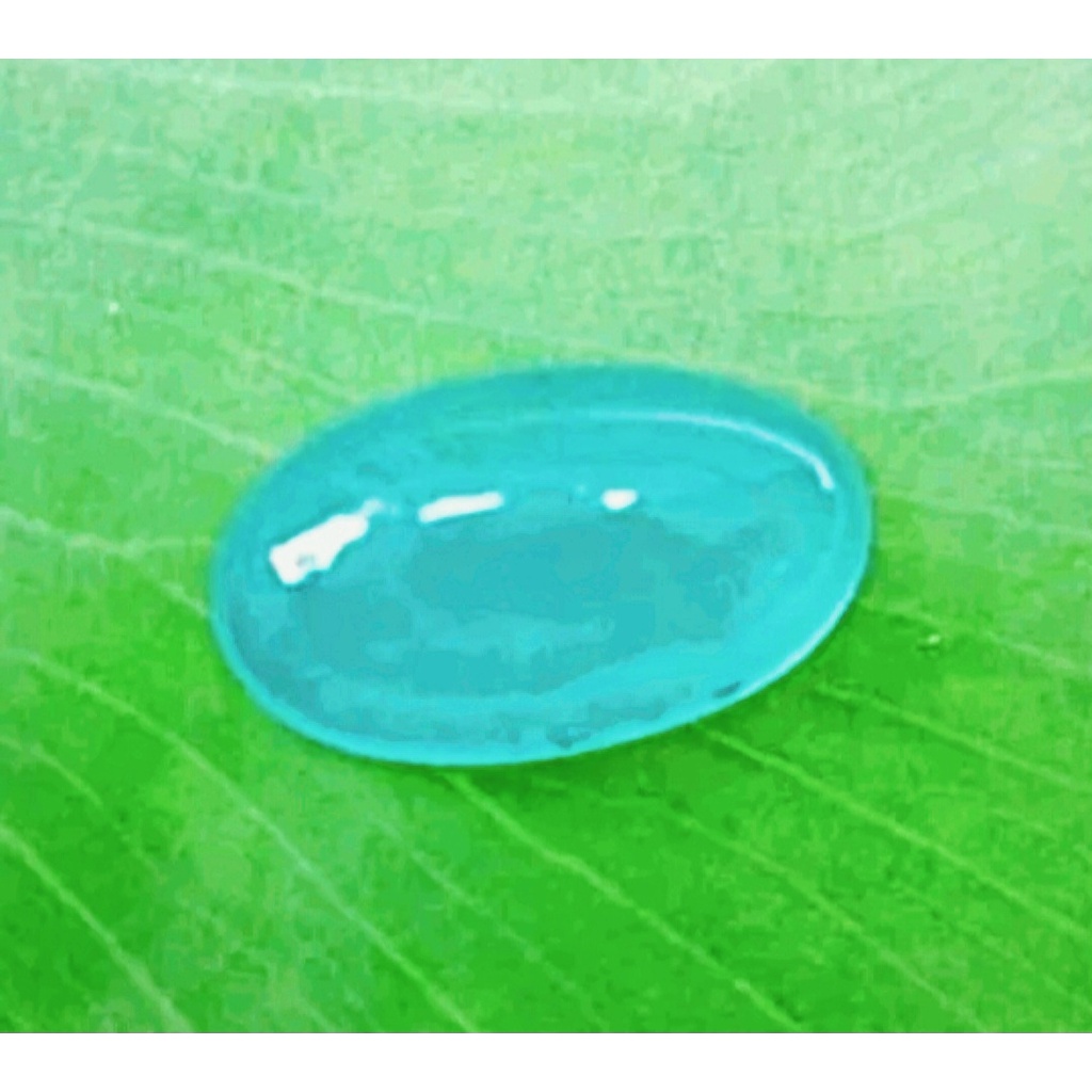 Bacan Doko Gulau HQ  Serat Halus