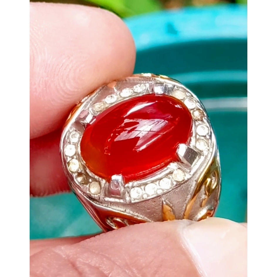 Red Obi bacan obi merah size kantoran