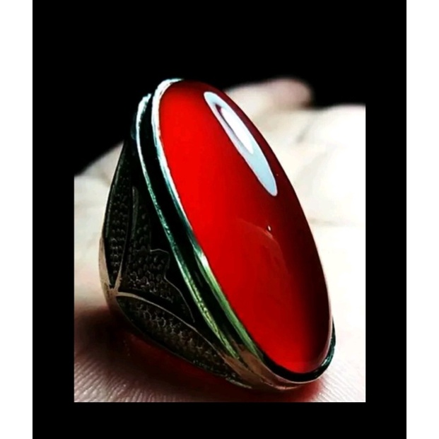 Bacan Obi Merah Red Obi Size Jumbo