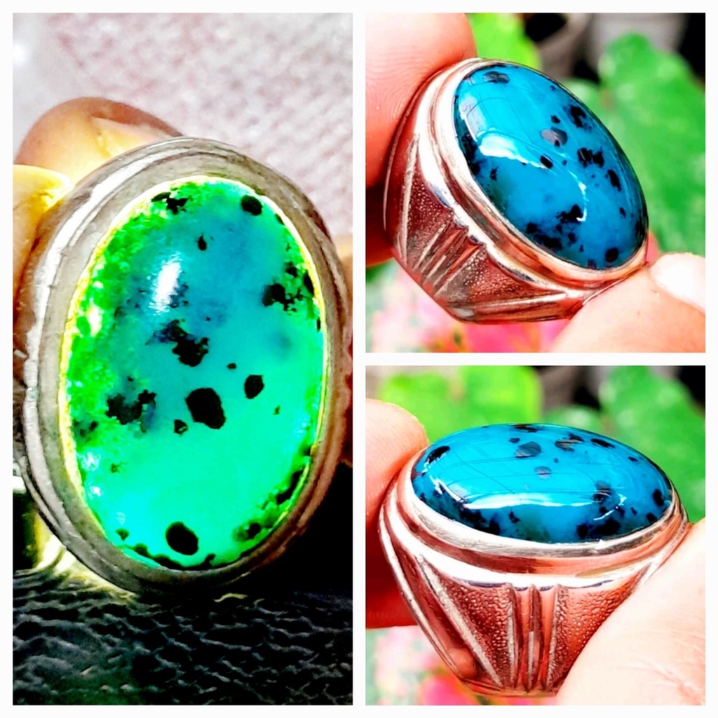 Bacan doko majiko totol super HQ dimensi jumbo 24mm