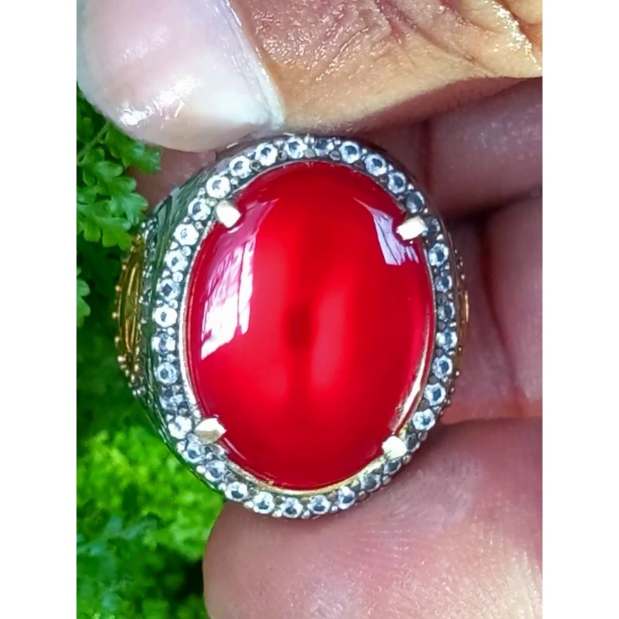 Red Obi bacan obi merah size kantoran kode 06