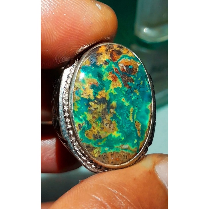 Pirus Persia Abdul Rozaq hijau wismilak size jumbo