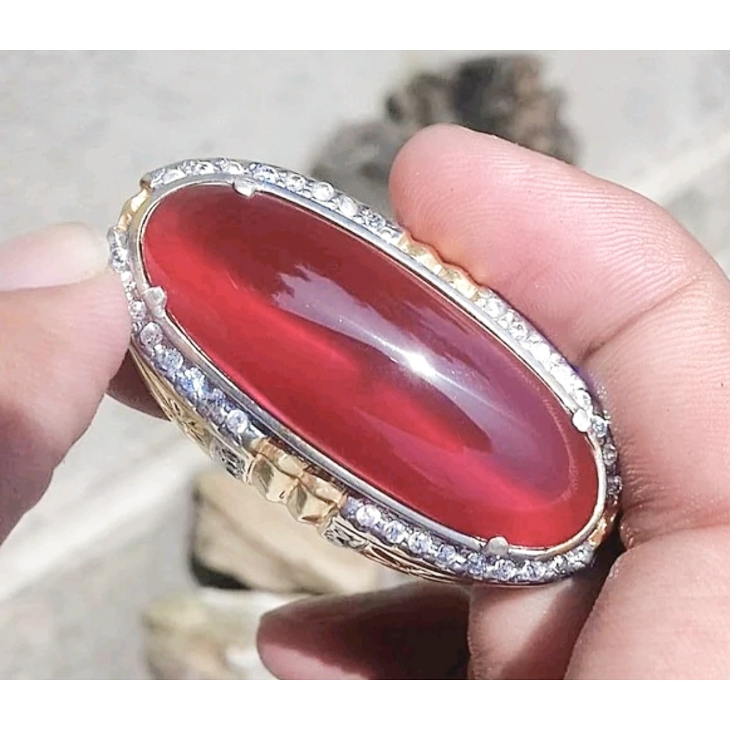 Bacan Obi Merah Maron