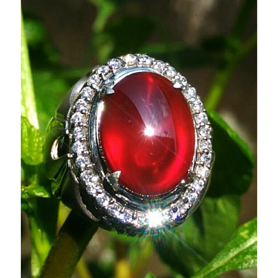 Natural Red Obi bacan obi merah size kantoran