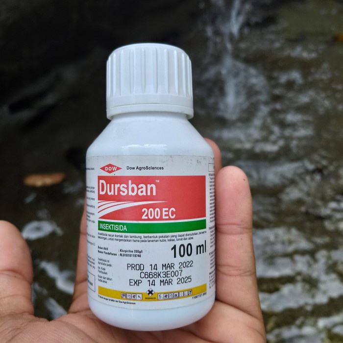 Obat Pembasmi Hama Tanaman Dursban Exp 2025 2027 Terbaru