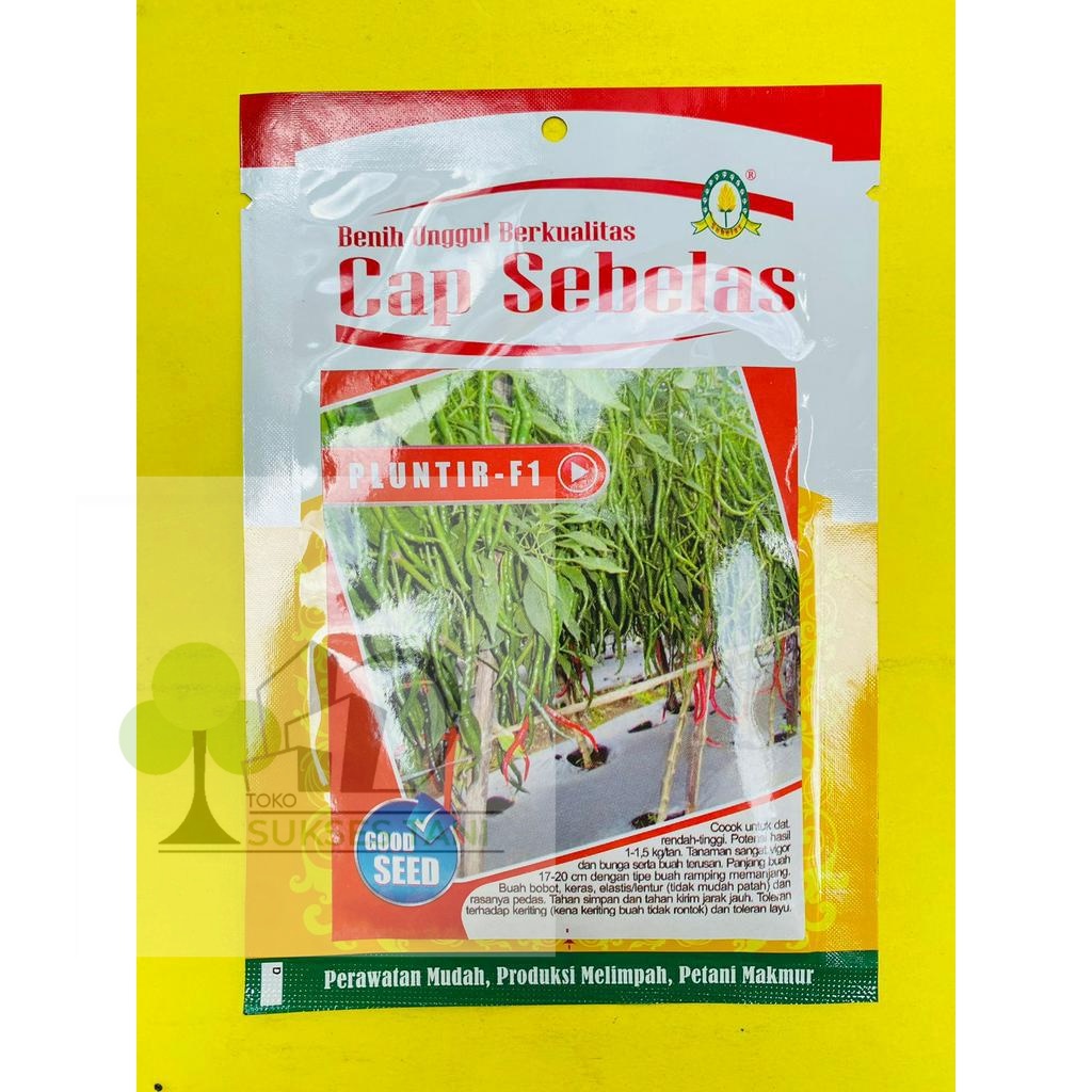 Benih Cabe Keriting Pluntir-F1 isi 2000biji dr Cap Sebelas