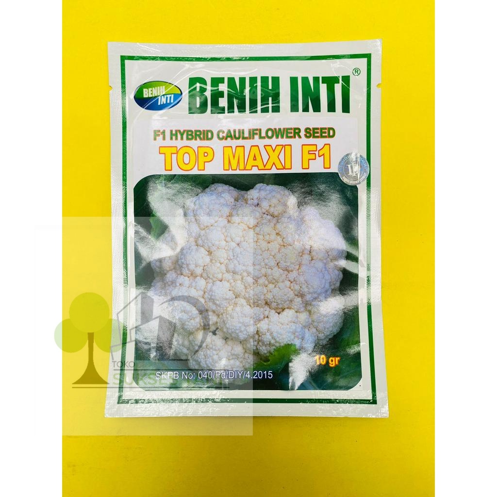 Benih Bunga Kol TOP MAXI F1 kemasan  10gr dari DINASTY INTI AGROSARANA