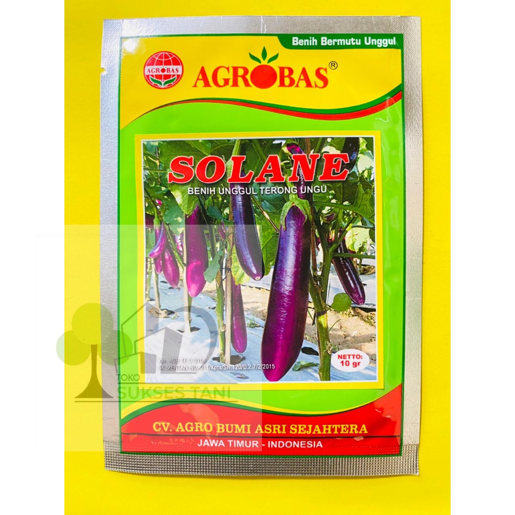Benih Terong Ungu SOLANE kemasan 10gr dari AGROBAS
