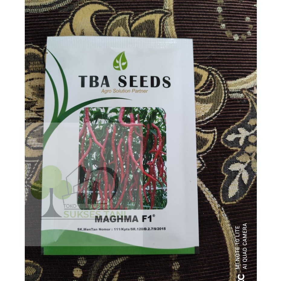 Benih Cabai / Cabe Keriting MAGHMA F1  Clause Indonesia  kemasan  10gr