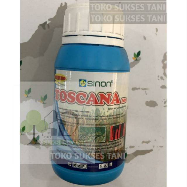 Fungisida sistemik TOSCANA Bahan Aktif azoksistrobin 250g/l tunggal dari sinon kemasan  250ml