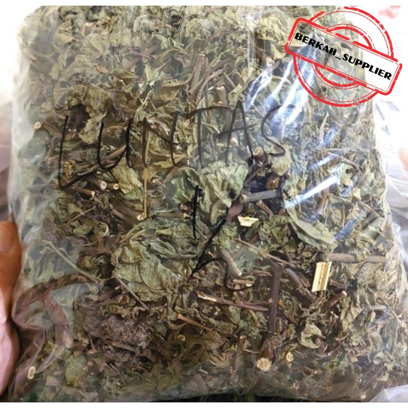 

Daun Beluntas Kering - Daun Luntas Kering Asli