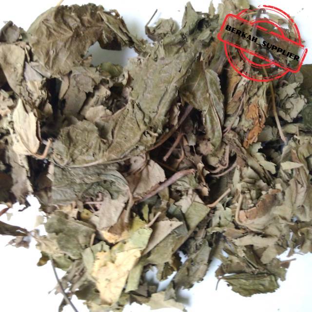 

Daun Jati Belanda Kering 1kg