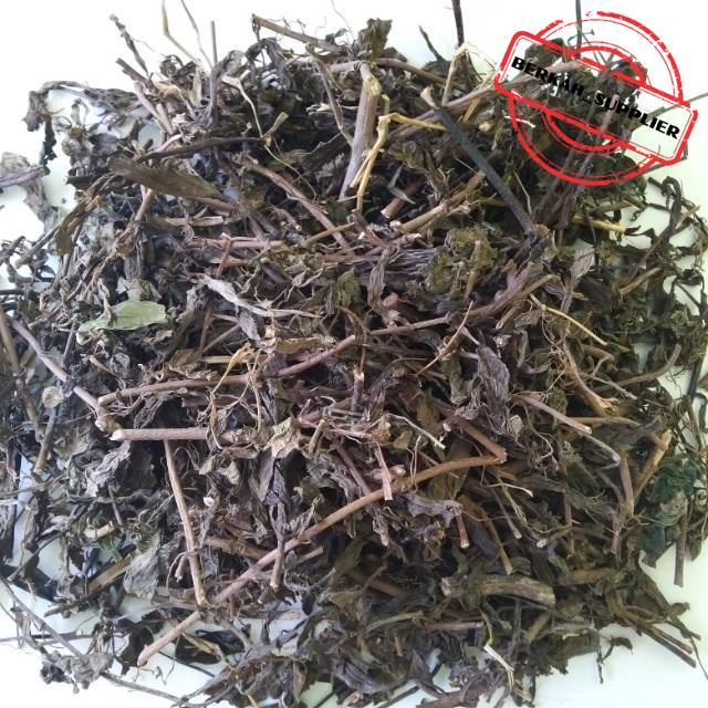 

Daun Kumis Kucing Kering 500gr / Herbal Kumis Kucing Asli Murni