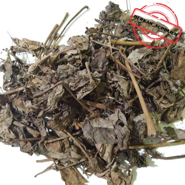 

Daun Sirih Kering 1kg - Daun Sirih Hijau Kering