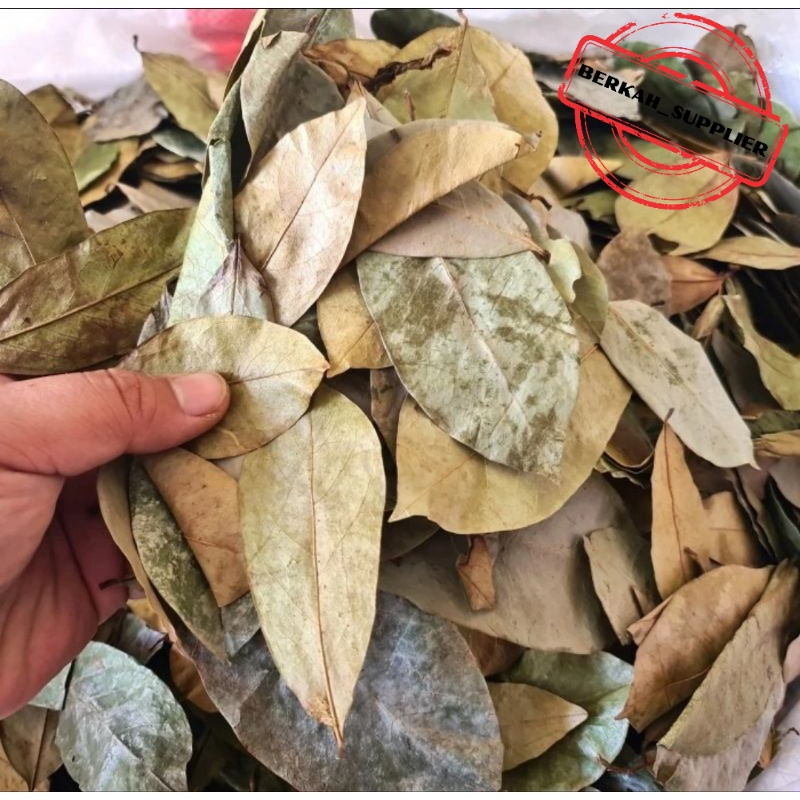 

Daun Sirsak Kering 100 gram - Kualitas Bagus