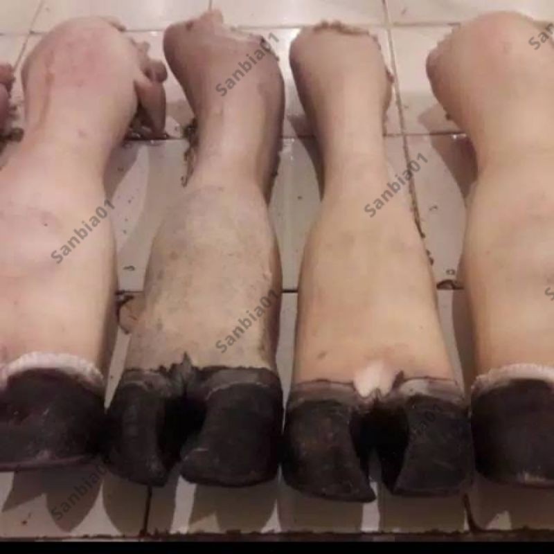 Kaki Sapi Kikil Kaki Sapi 1 Pcs Utuh