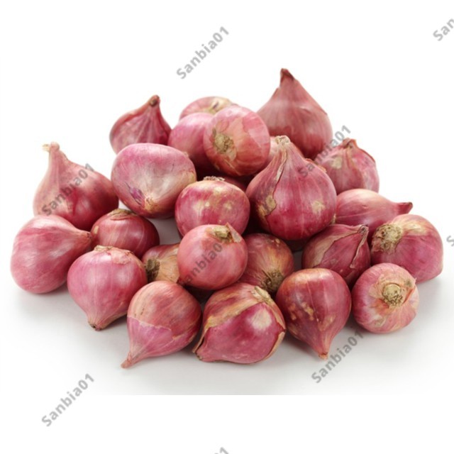 

Bawang Merah 1 Kg