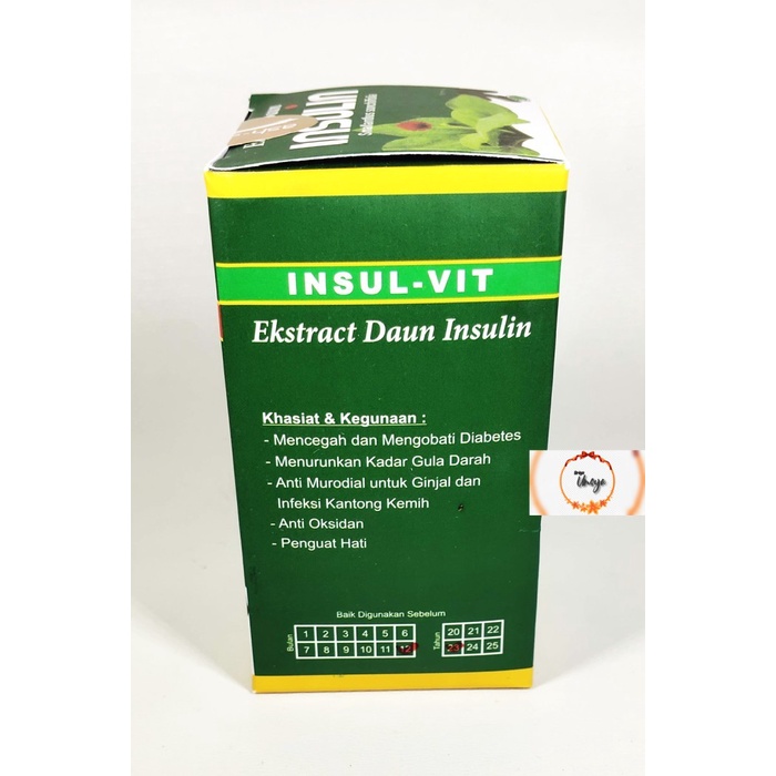 

[ PAKET 3 BOTOL ] Kapsul Ekstrak Daun Insulin INSULVIT Ash-Shihhah