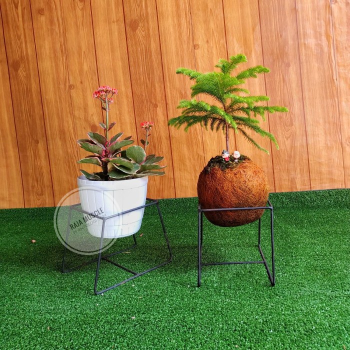 Rak - Standing Planter Boxes Rak Pot Bunga Kaktus Sukulen Tanaman