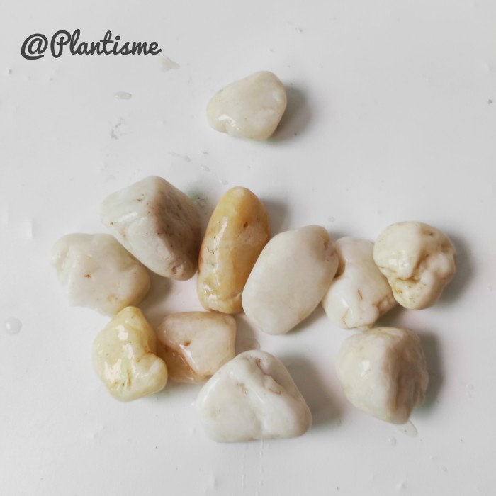 Batu Hias Pot Taman Aquarium Kolam - Marmer Putih