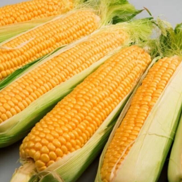 

JAGUNG MANIS SEGAR MASIH ADA KULIT 1 KG