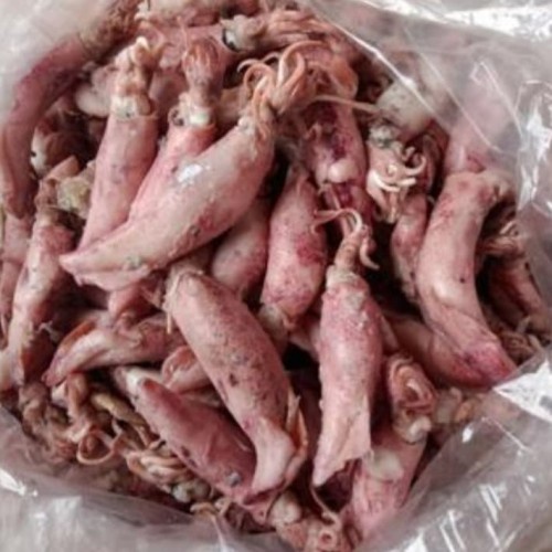 

OBRAL !!! CUMI SOTONG KERING 250 GR