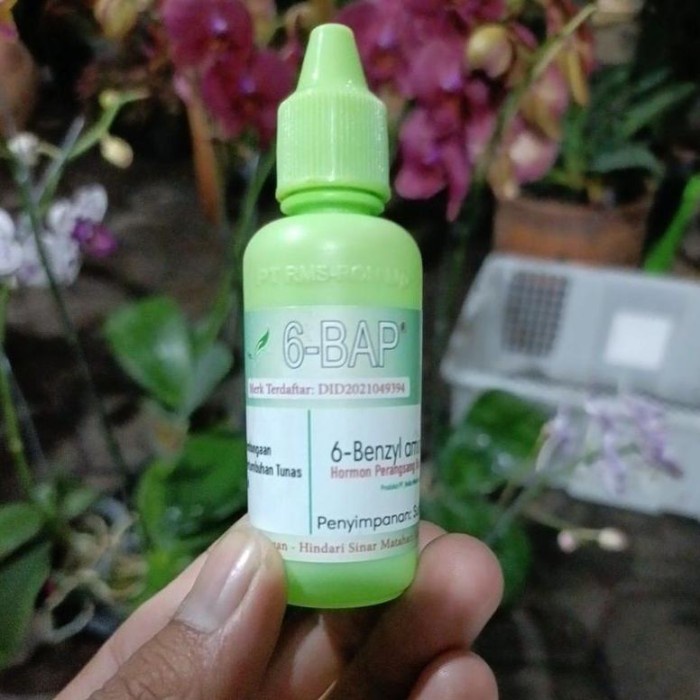 New new Pupuk 6BAP bap hormon penumbuh tunas dan tangkai bunga 30ml