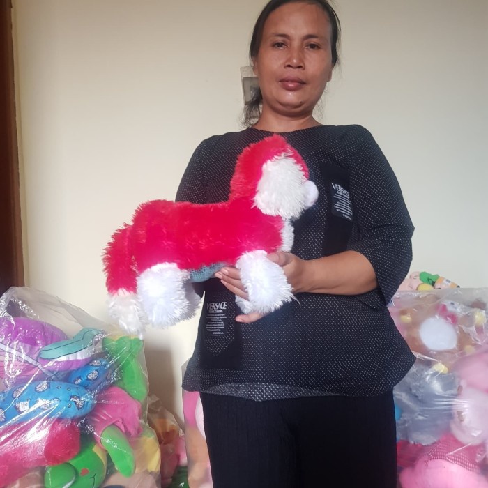 FOTO ASLI REAL PICT FOTO ASLI BONEKA KUCING PERSIA ANGORA CAT ANJING SERIGALA MERAH PUTIH