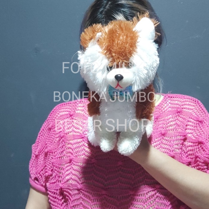 FOTO ASLI REAL PICT BONEKA KUCING PERSIA ANGORA CAT ANJING SERIGALA COKLAT COKELAT PUTIH