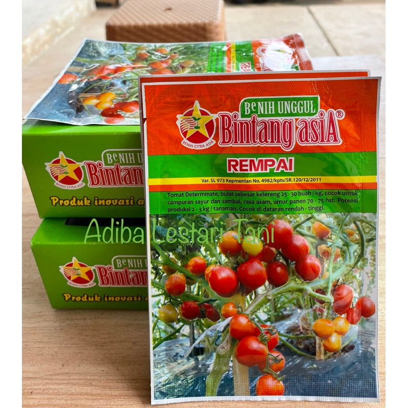 Benih Tomat Rampai 10 gram - Cap Bintang Asia