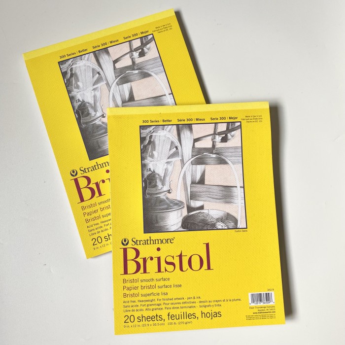 

Strathmore Bristol Smooth 9x12"