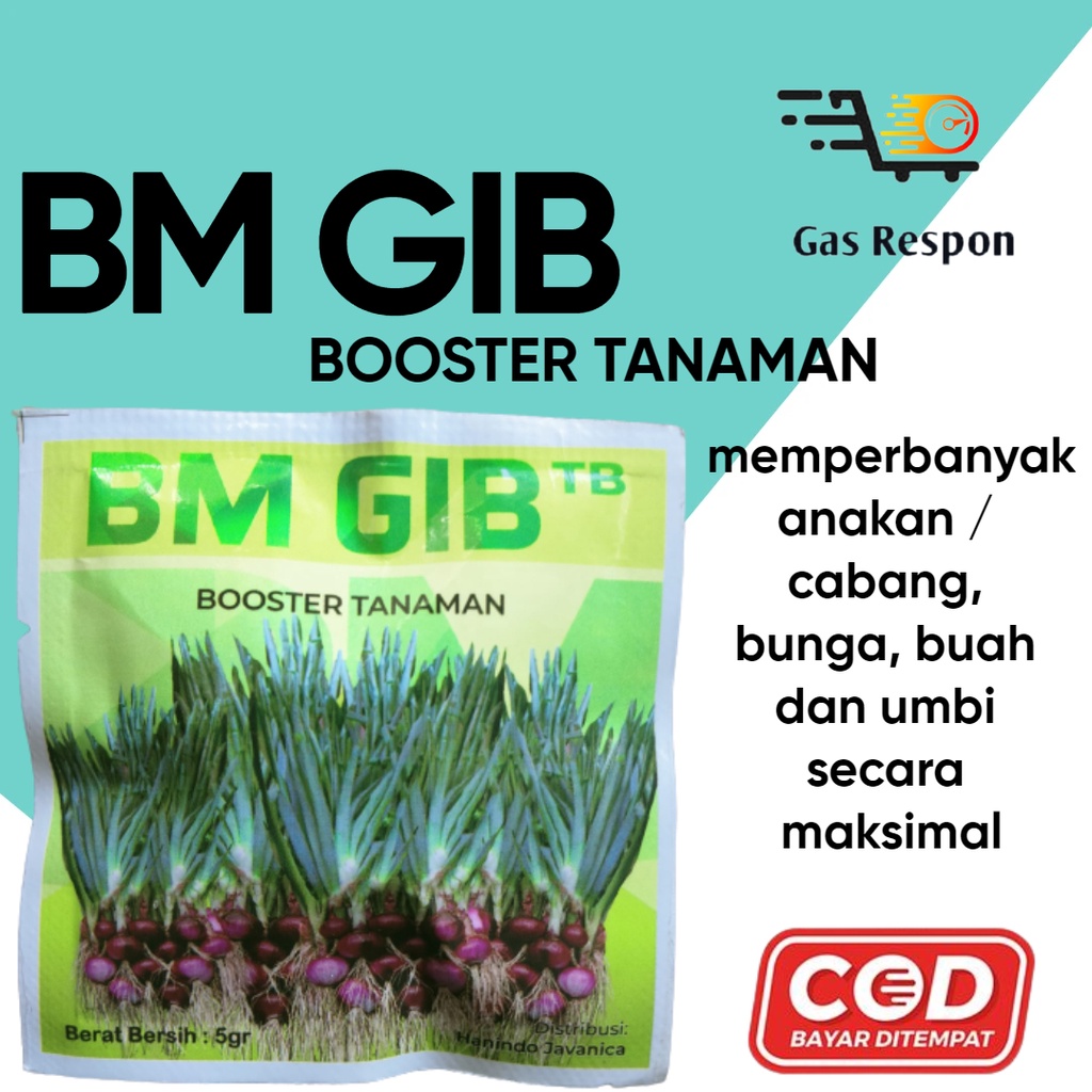 BM GIB  5 gr giberellic acid dan Auxsin ZPT