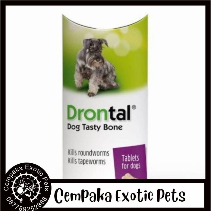 DRONTAL DOG 1 TABLET OBAT CACING ANJING OBAT ANJING DRONTAL ANJING DRONTAL PLUS CACING ANJING